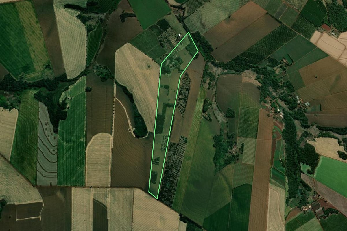 Imagem de satélite do imóvel rural em São Sebastião da Amoreira (PR), com o contorno declarado no CAR desenhado por cima.