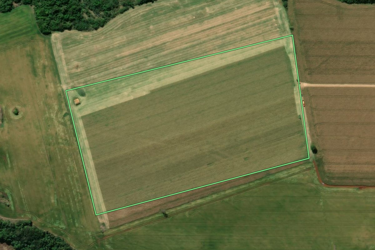 Imagem de satélite do imóvel rural em São Sebastião da Amoreira (PR), com o contorno declarado no CAR desenhado por cima.