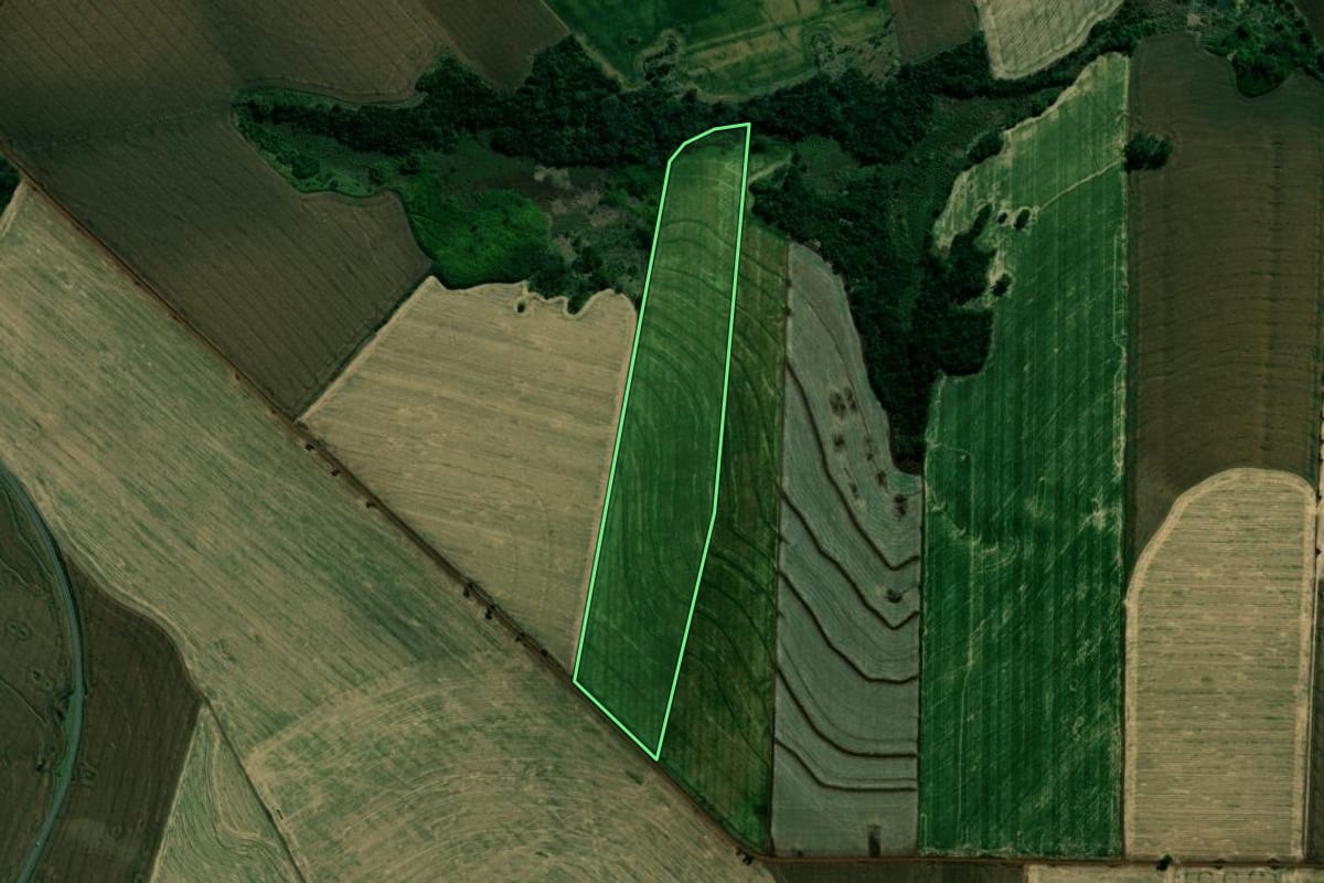 Imagem de satélite do imóvel rural em São Sebastião da Amoreira (PR), com o contorno declarado no CAR desenhado por cima.