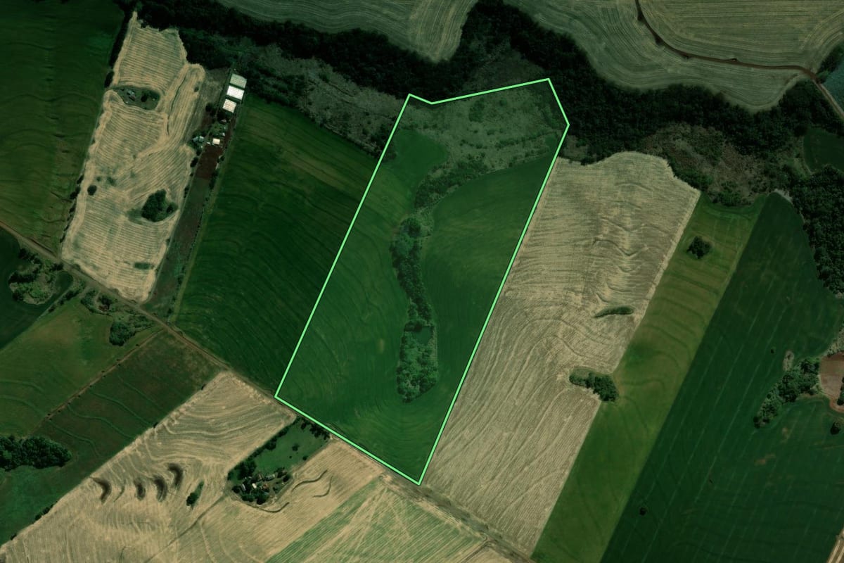 Imagem de satélite do imóvel rural em São Sebastião da Amoreira (PR), com o contorno declarado no CAR desenhado por cima.