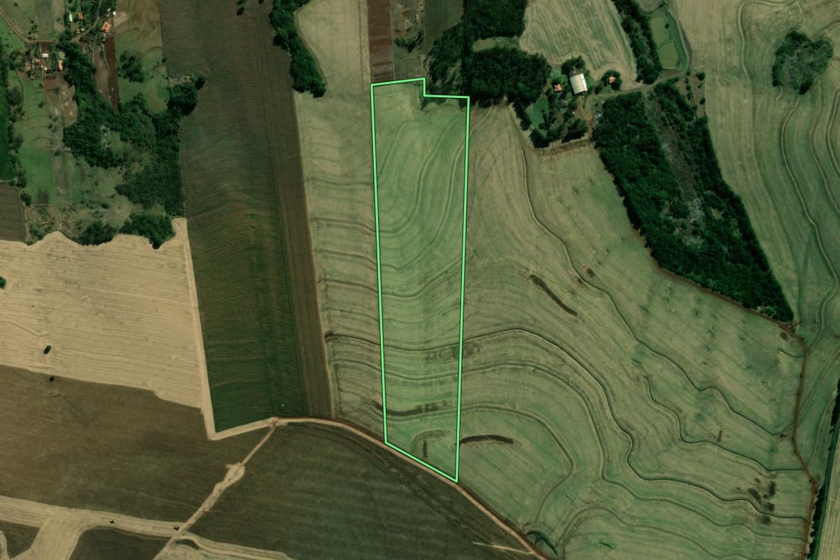 Imagem de satélite do imóvel rural em São Sebastião da Amoreira (PR), com o contorno declarado no CAR desenhado por cima.