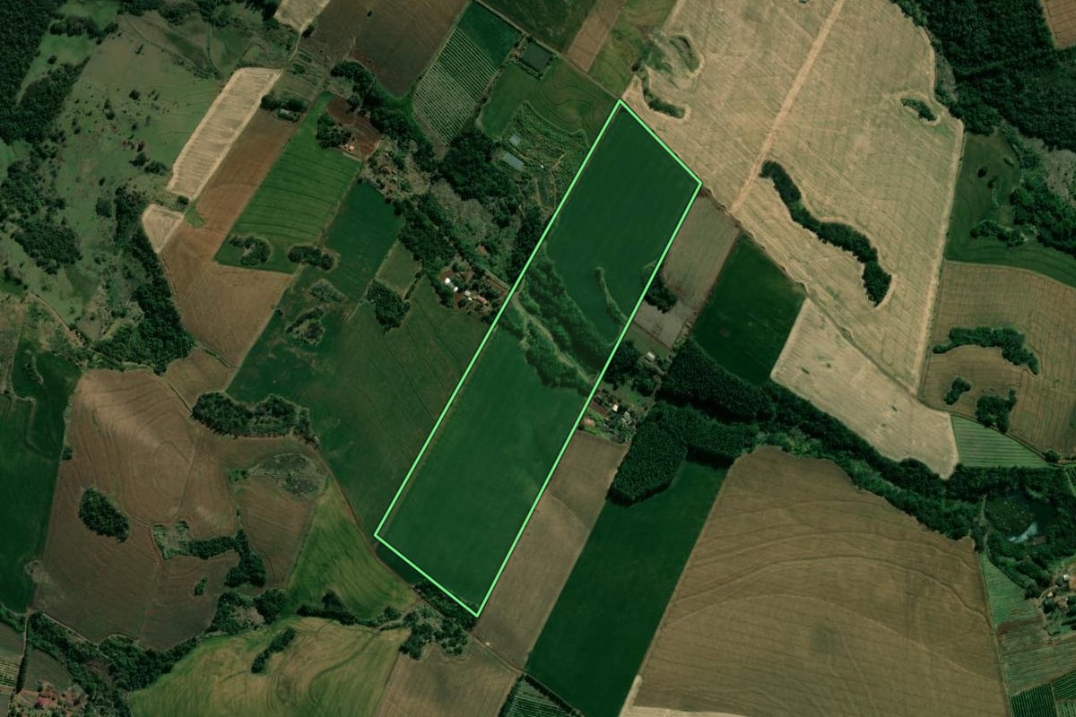 Imagem de satélite do imóvel rural em São Sebastião da Amoreira (PR), com o contorno declarado no CAR desenhado por cima.