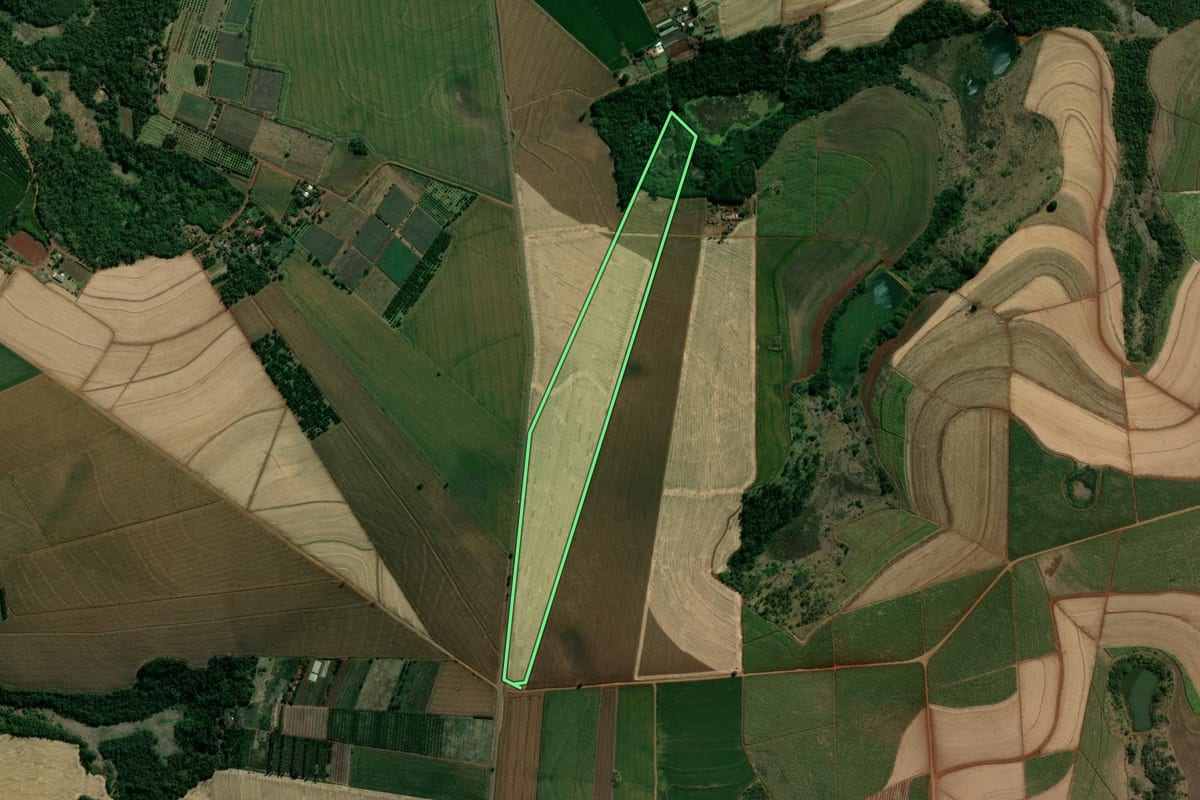 Imagem de satélite do imóvel rural em São Sebastião da Amoreira (PR), com o contorno declarado no CAR desenhado por cima.