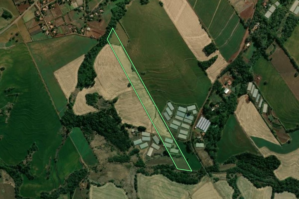 Imagem de satélite do imóvel rural em São Sebastião da Amoreira (PR), com o contorno declarado no CAR desenhado por cima.