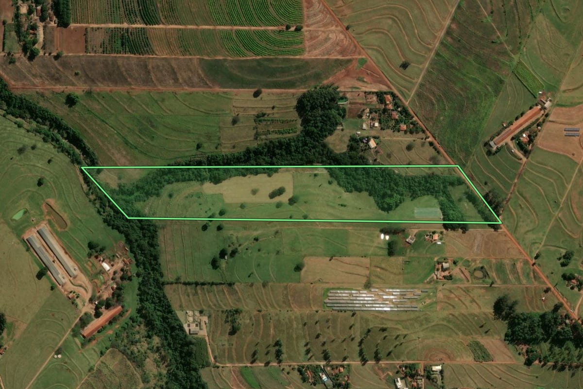 Imagem de satélite do imóvel rural em São Tomé (PR), com o contorno declarado no CAR desenhado por cima.