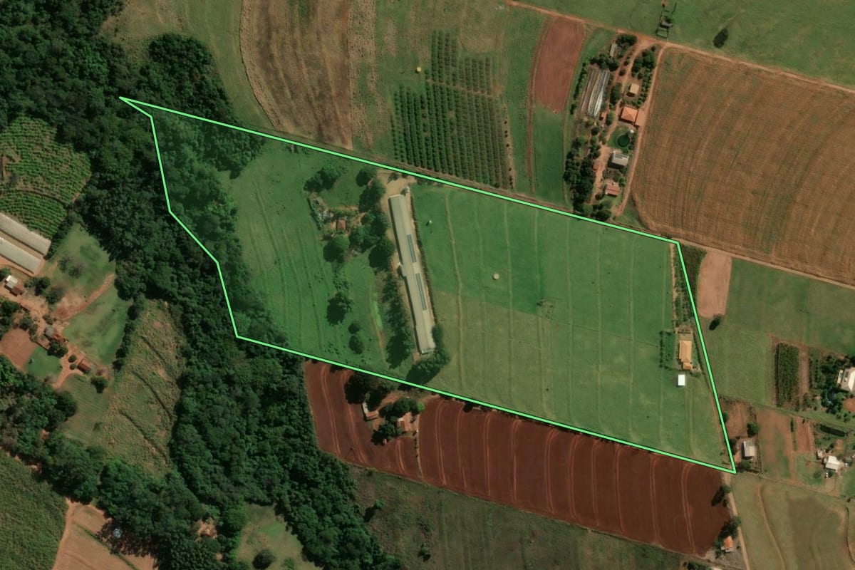 Imagem de satélite do imóvel rural em São Tomé (PR), com o contorno declarado no CAR desenhado por cima.