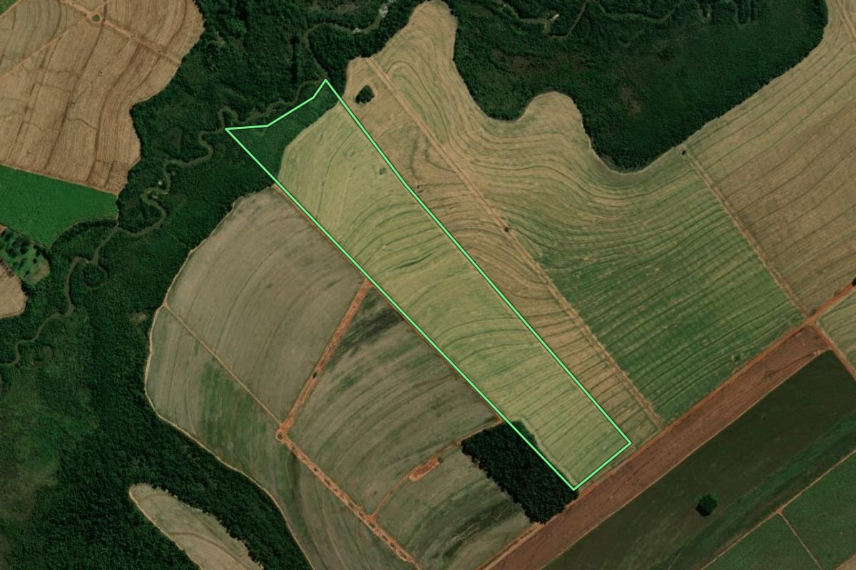 Imagem de satélite do imóvel rural em São Tomé (PR), com o contorno declarado no CAR desenhado por cima.