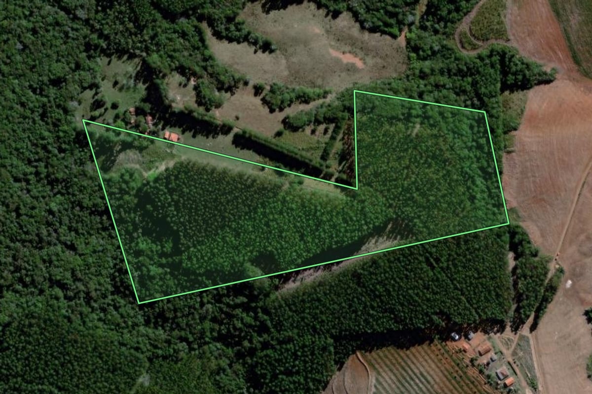 Imagem de satélite do imóvel rural em Sapopema (PR), com o contorno declarado no CAR desenhado por cima.