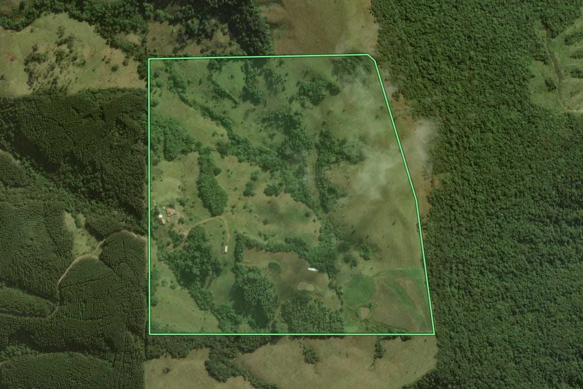 Imagem de satélite do imóvel rural em Sapopema (PR), com o contorno declarado no CAR desenhado por cima.