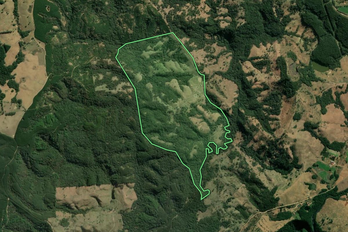 Imagem de satélite do imóvel rural em Sapopema (PR), com o contorno declarado no CAR desenhado por cima.
