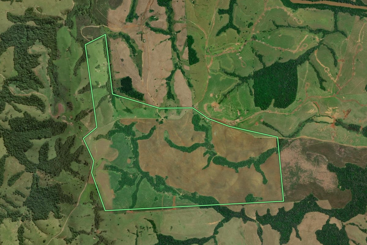 Imagem de satélite do imóvel rural em Sapopema (PR), com o contorno declarado no CAR desenhado por cima.