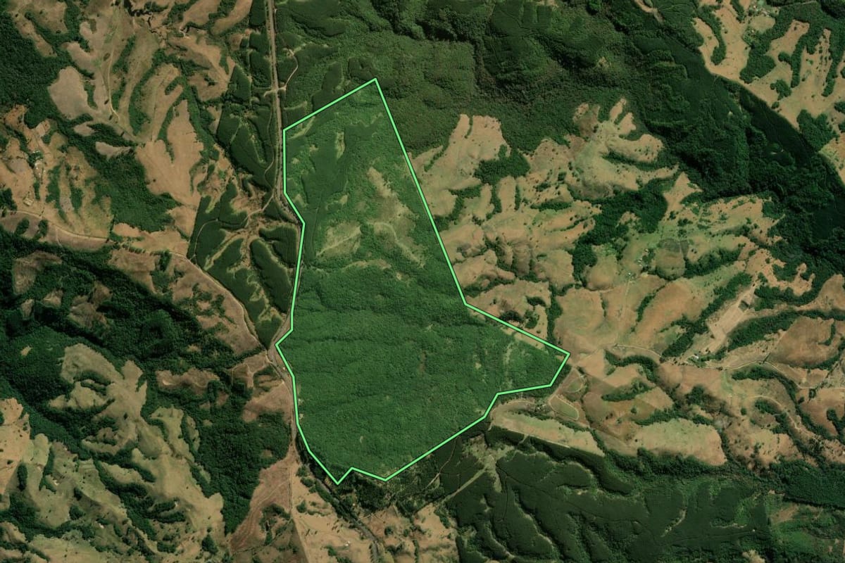Imagem de satélite do imóvel rural em Sapopema (PR), com o contorno declarado no CAR desenhado por cima.