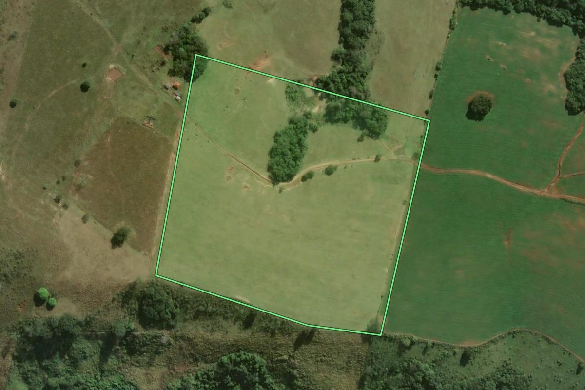 Imagem de satélite do imóvel rural em Sapopema (PR), com o contorno declarado no CAR desenhado por cima.