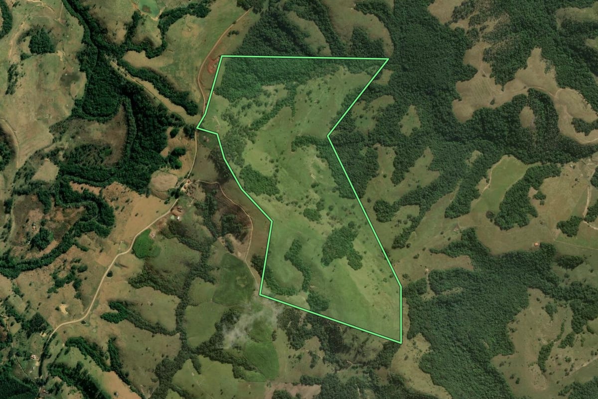 Imagem de satélite do imóvel rural em Sapopema (PR), com o contorno declarado no CAR desenhado por cima.