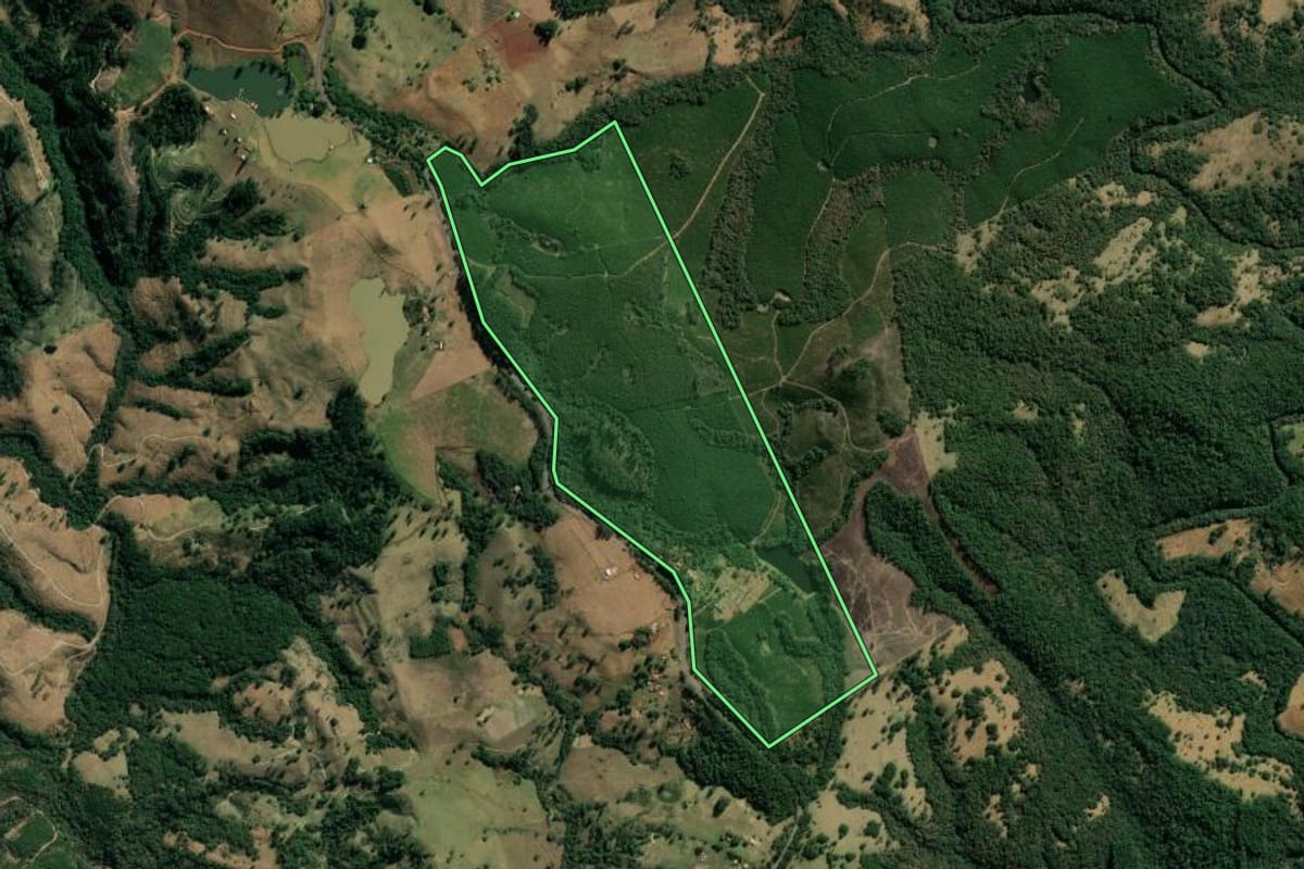 Imagem de satélite do imóvel rural em Sapopema (PR), com o contorno declarado no CAR desenhado por cima.