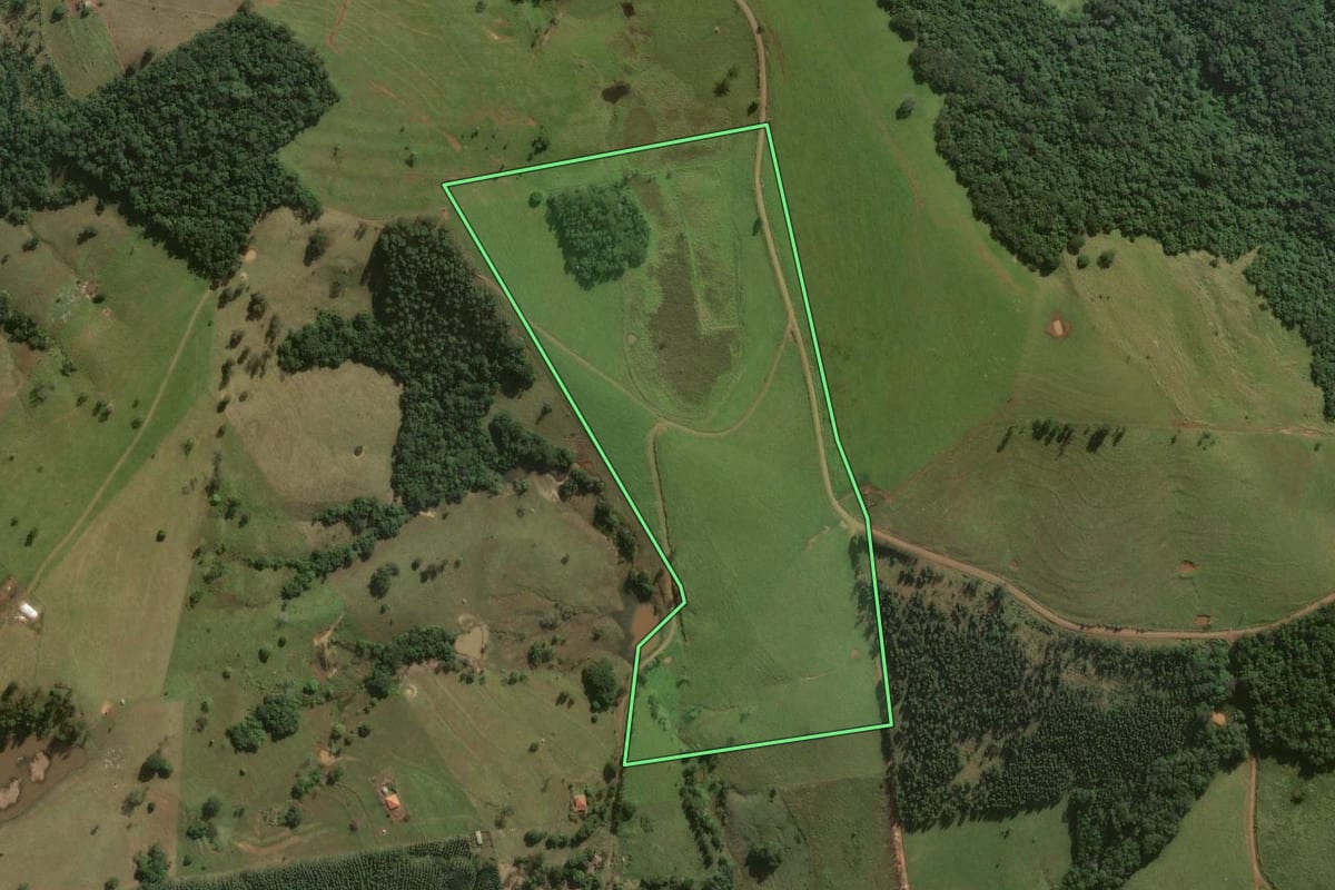 Imagem de satélite do imóvel rural em Sapopema (PR), com o contorno declarado no CAR desenhado por cima.