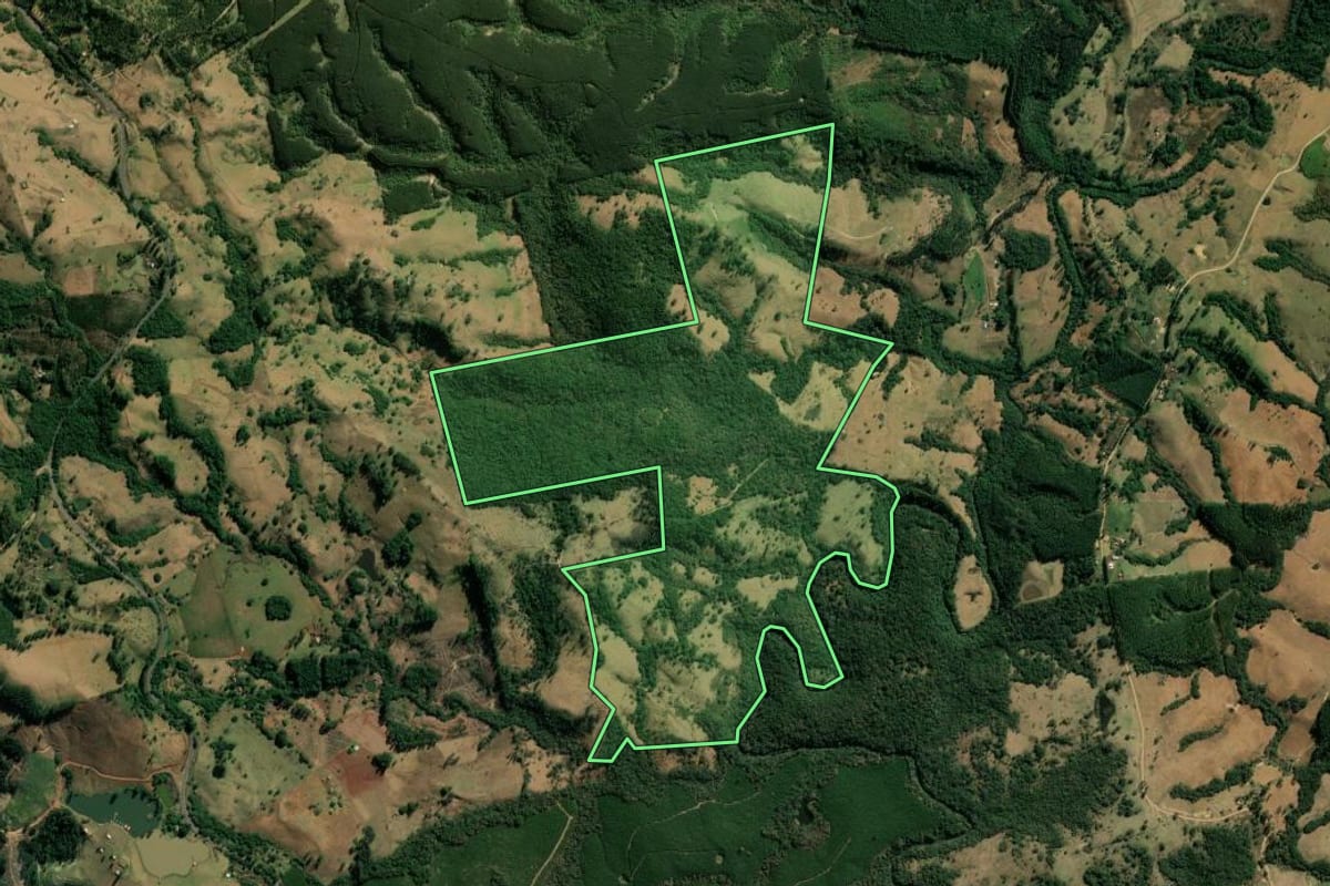 Imagem de satélite do imóvel rural em Sapopema (PR), com o contorno declarado no CAR desenhado por cima.