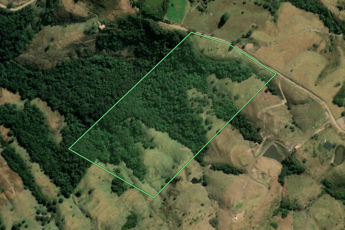 Imagem de satélite do imóvel rural em Sapopema (PR), com o contorno declarado no CAR desenhado por cima.