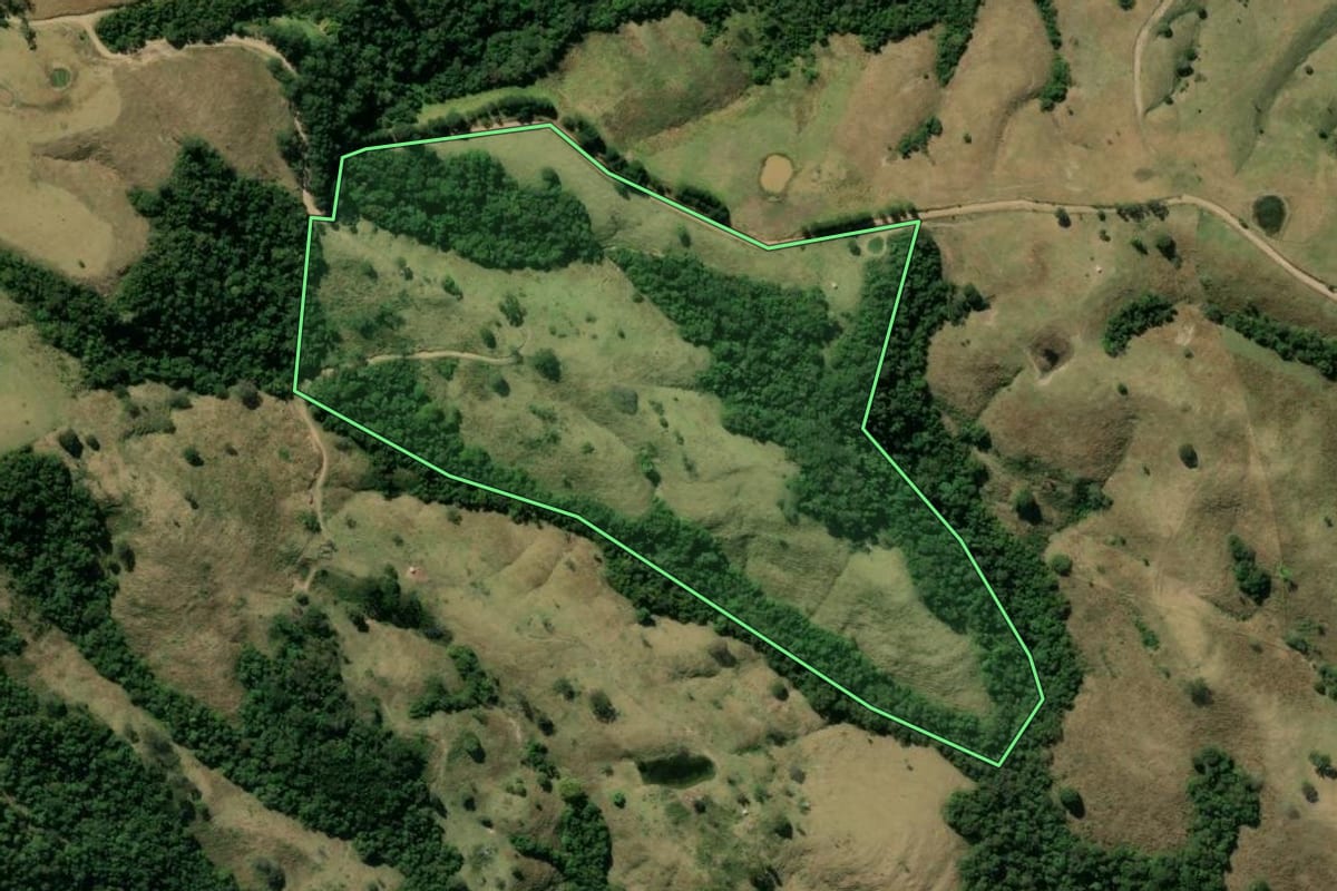 Imagem de satélite do imóvel rural em Sapopema (PR), com o contorno declarado no CAR desenhado por cima.