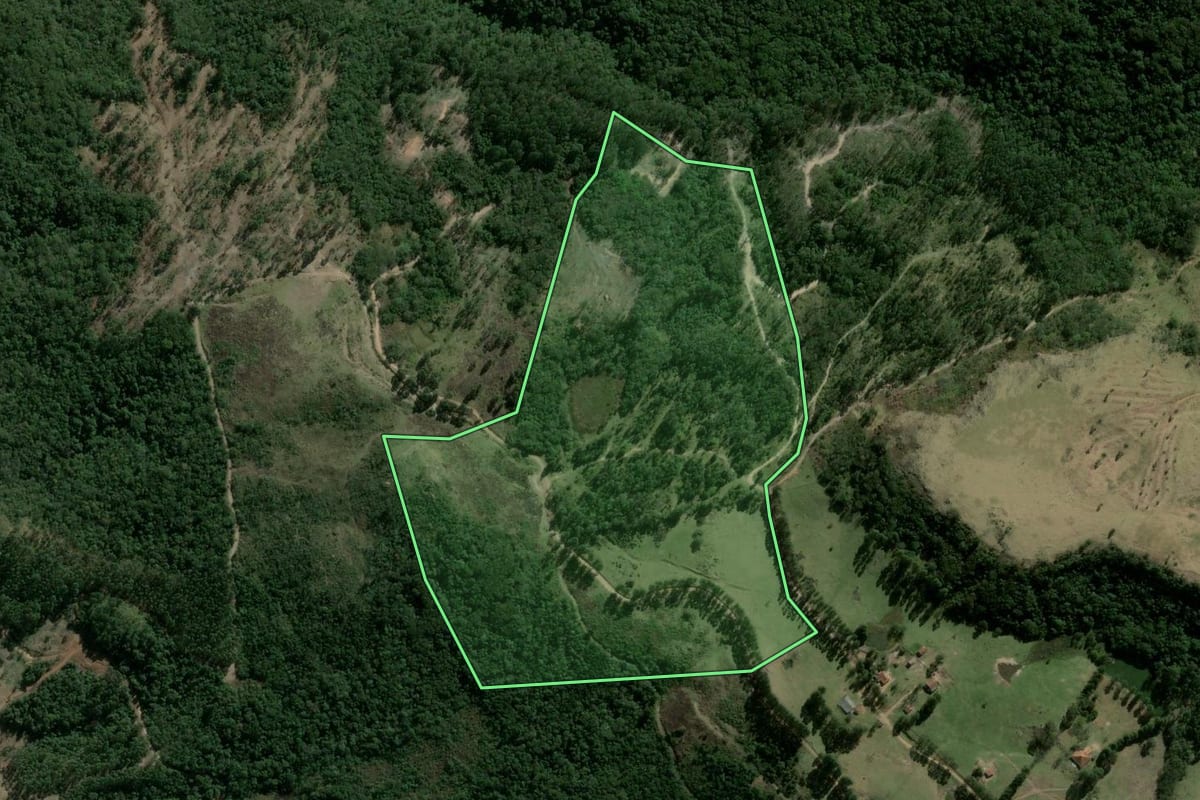 Imagem de satélite do imóvel rural em Sapopema (PR), com o contorno declarado no CAR desenhado por cima.
