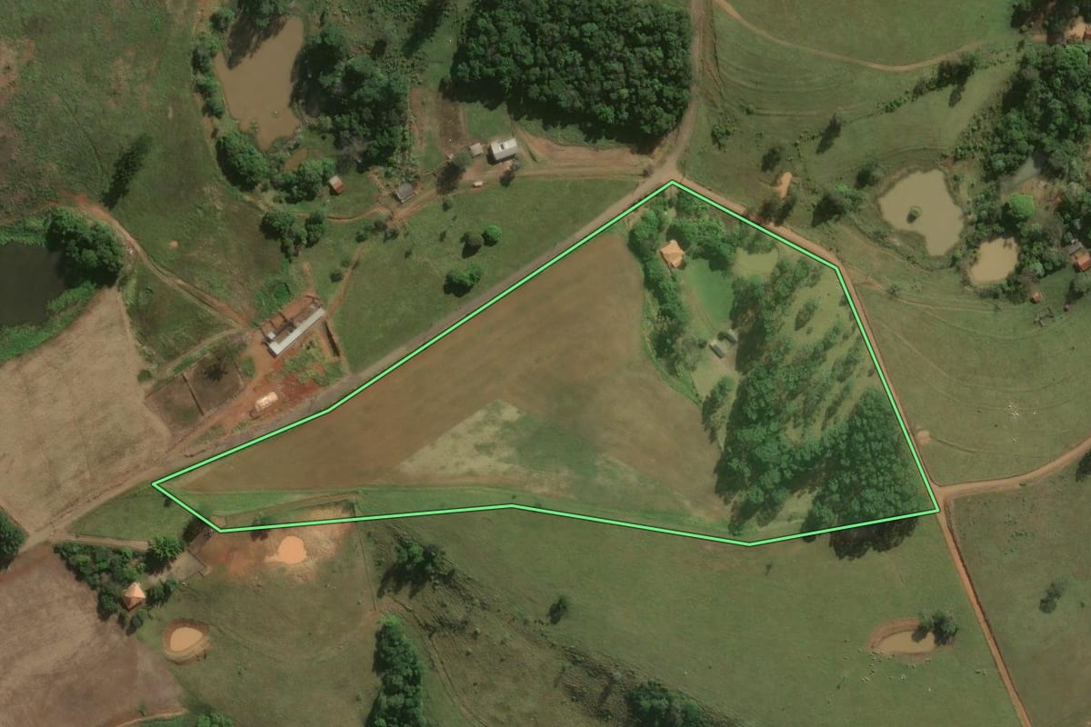 Imagem de satélite do imóvel rural em Sapopema (PR), com o contorno declarado no CAR desenhado por cima.