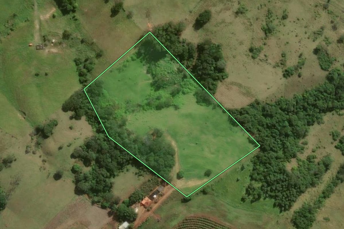 Imagem de satélite do imóvel rural em Sapopema (PR), com o contorno declarado no CAR desenhado por cima.