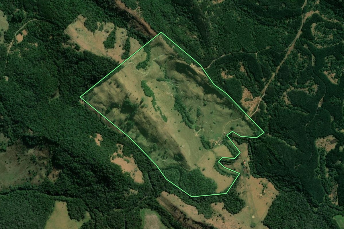 Imagem de satélite do imóvel rural em Sapopema (PR), com o contorno declarado no CAR desenhado por cima.