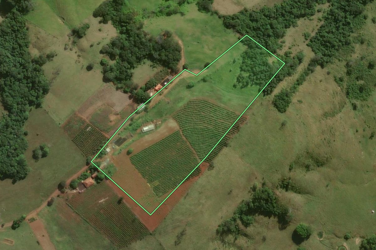 Imagem de satélite do imóvel rural em Sapopema (PR), com o contorno declarado no CAR desenhado por cima.