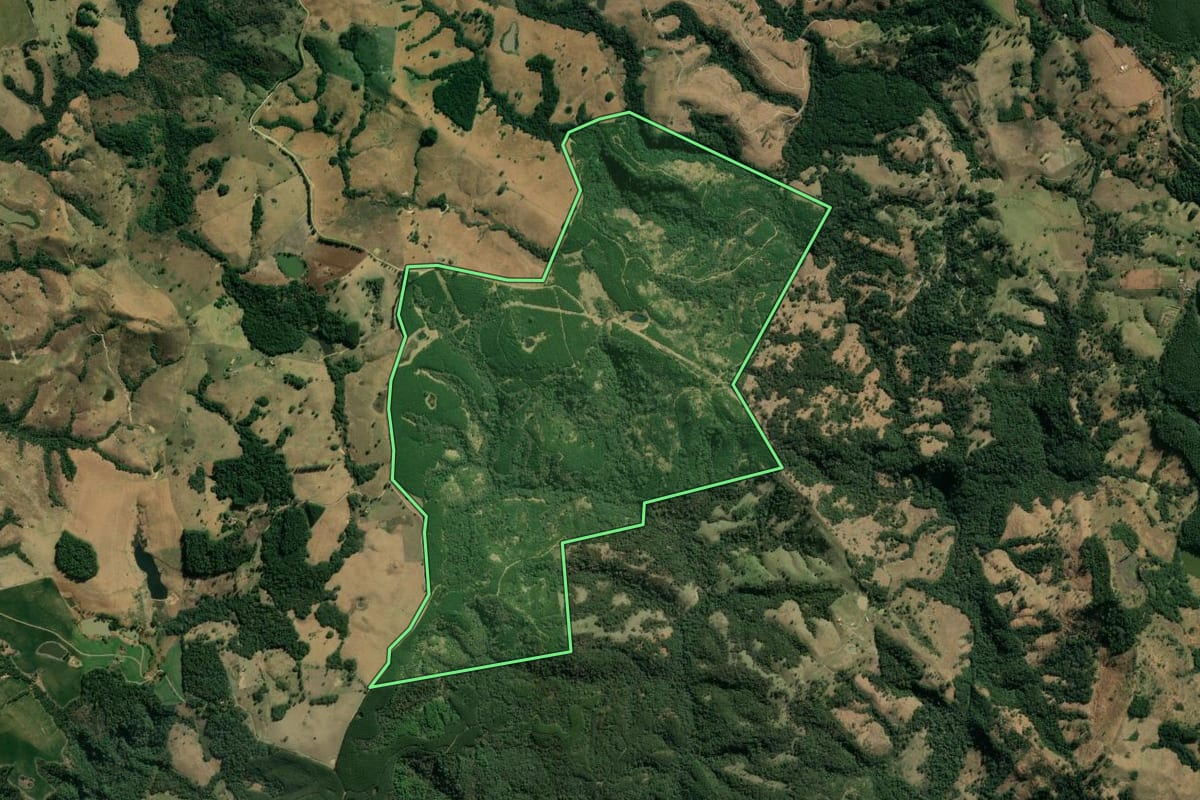 Imagem de satélite do imóvel rural em Sapopema (PR), com o contorno declarado no CAR desenhado por cima.