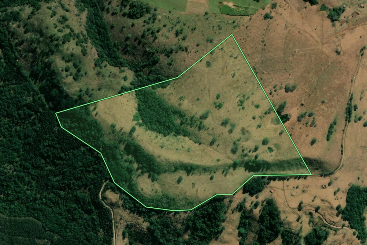 Imagem de satélite do imóvel rural em Sapopema (PR), com o contorno declarado no CAR desenhado por cima.