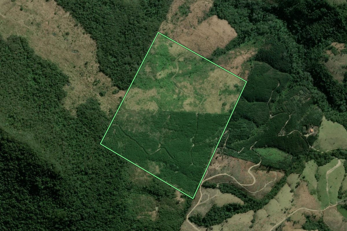 Imagem de satélite do imóvel rural em Sapopema (PR), com o contorno declarado no CAR desenhado por cima.