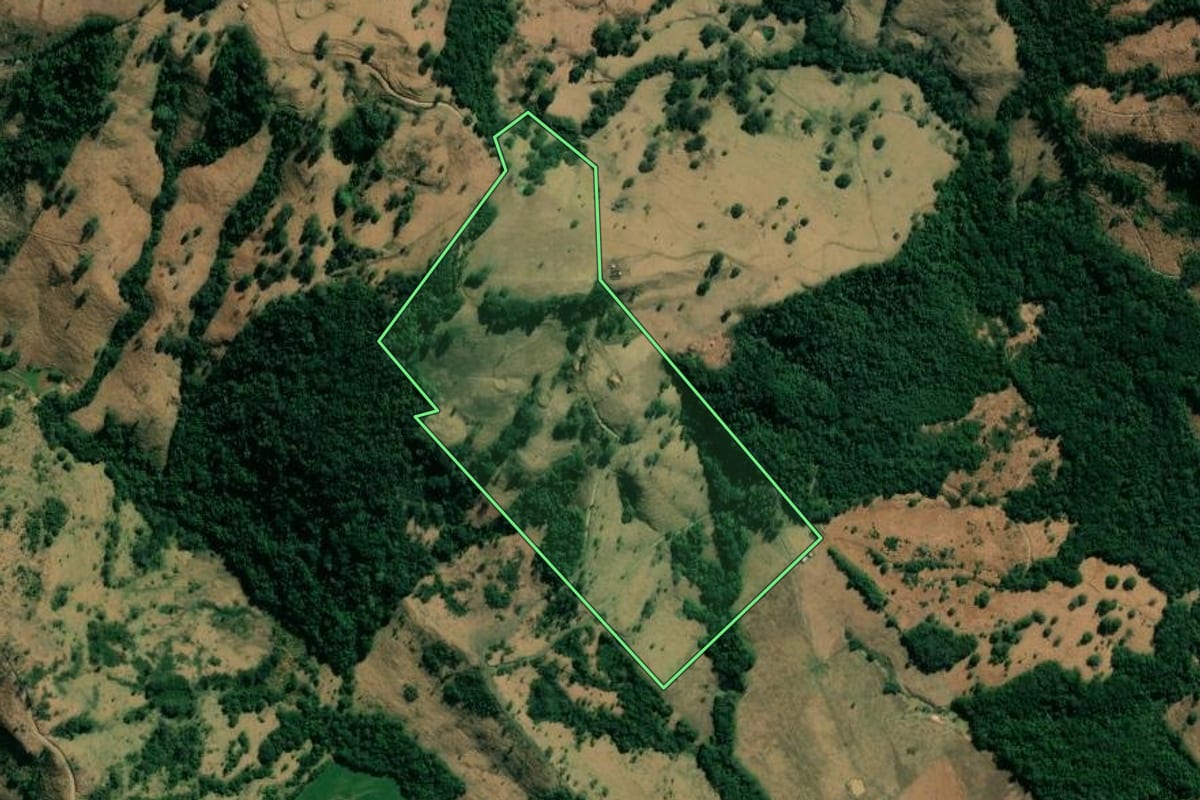 Imagem de satélite do imóvel rural em Sapopema (PR), com o contorno declarado no CAR desenhado por cima.