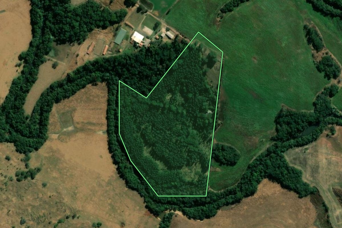 Imagem de satélite do imóvel rural em Sapopema (PR), com o contorno declarado no CAR desenhado por cima.