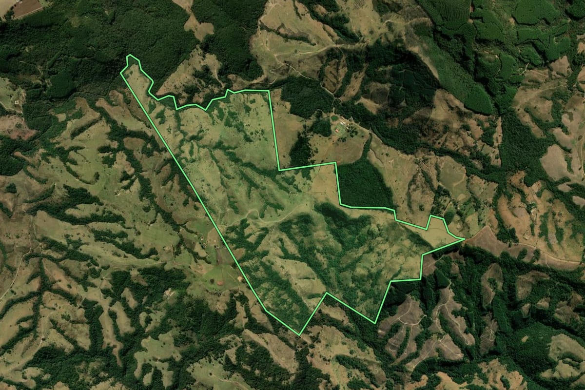 Imagem de satélite do imóvel rural em Sapopema (PR), com o contorno declarado no CAR desenhado por cima.
