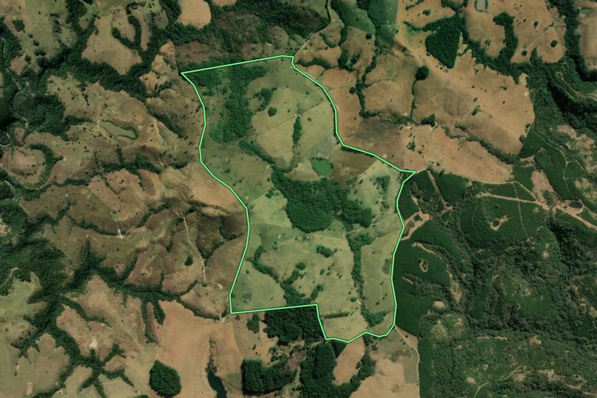 Imagem de satélite do imóvel rural em Sapopema (PR), com o contorno declarado no CAR desenhado por cima.
