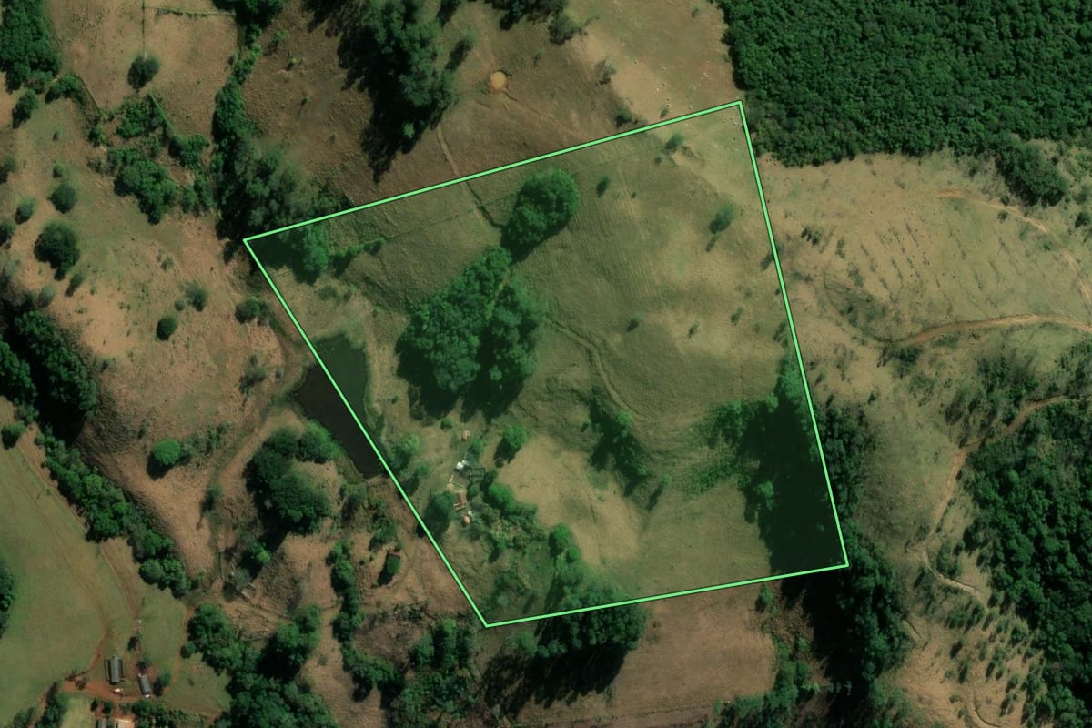 Imagem de satélite do imóvel rural em Sapopema (PR), com o contorno declarado no CAR desenhado por cima.