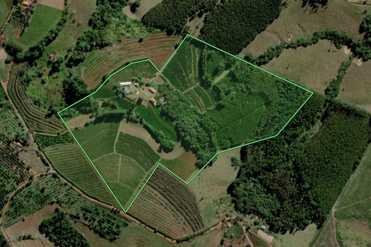 Imagem de satélite do imóvel rural em Sapopema (PR), com o contorno declarado no CAR desenhado por cima.