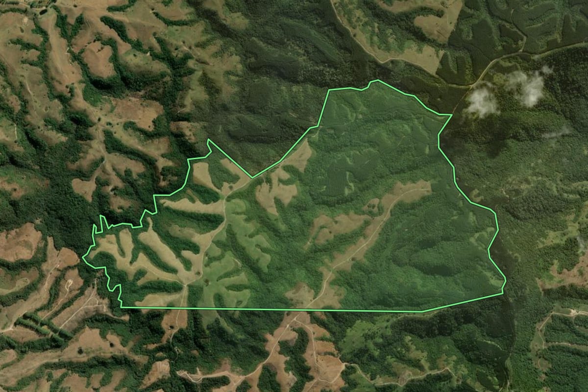 Imagem de satélite do imóvel rural em Sapopema (PR), com o contorno declarado no CAR desenhado por cima.