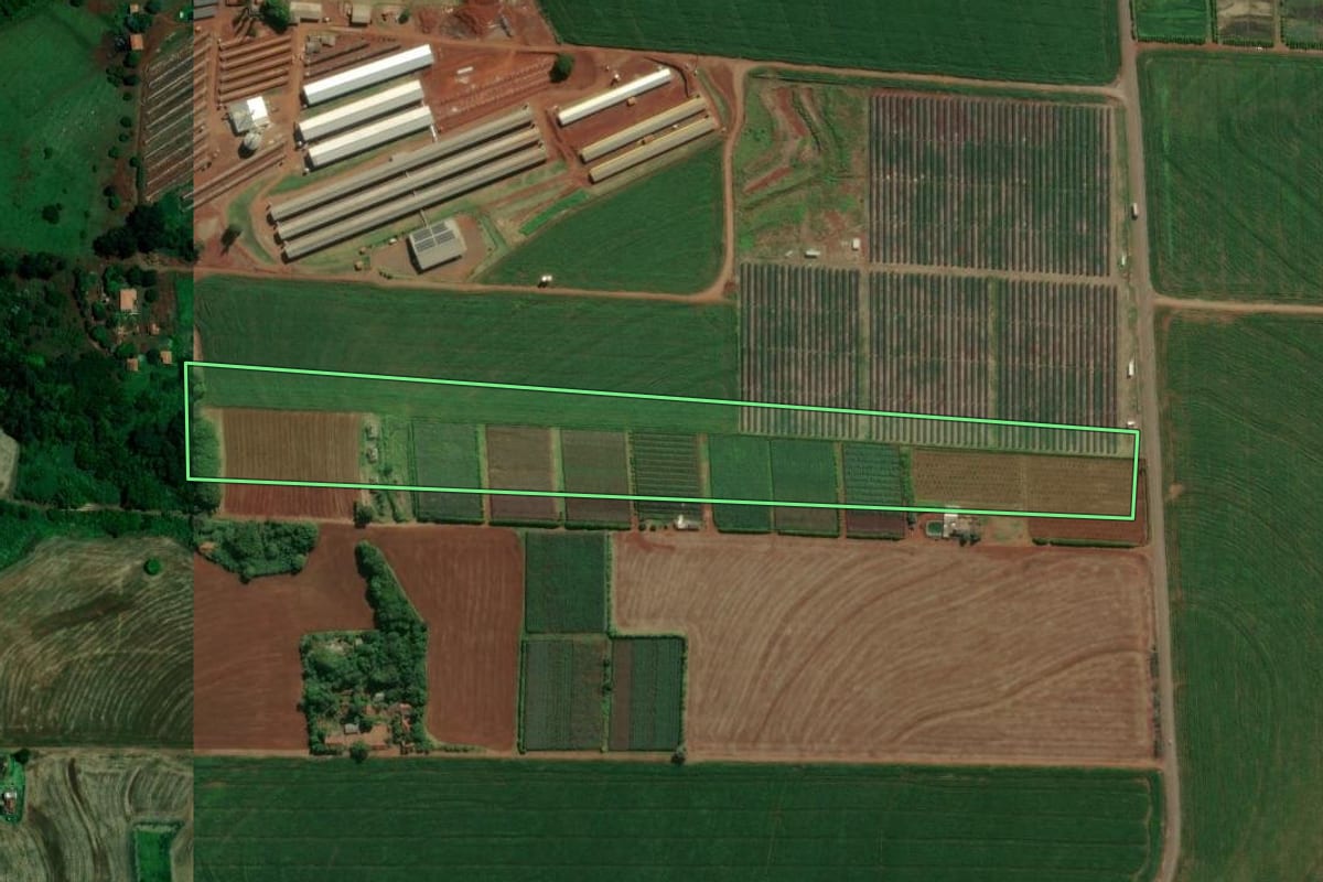 Imagem de satélite do imóvel rural em Sarandi (PR), com o contorno declarado no CAR desenhado por cima.
