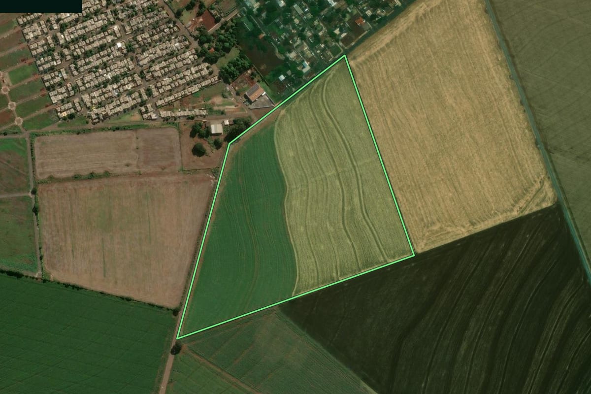 Imagem de satélite do imóvel rural em Sarandi (PR), com o contorno declarado no CAR desenhado por cima.