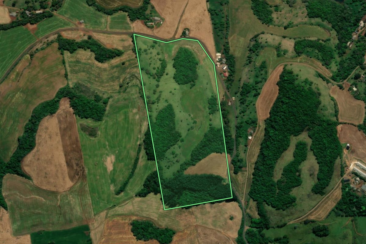 Imagem de satélite do imóvel rural em Saudade do Iguaçu (PR), com o contorno declarado no CAR desenhado por cima.