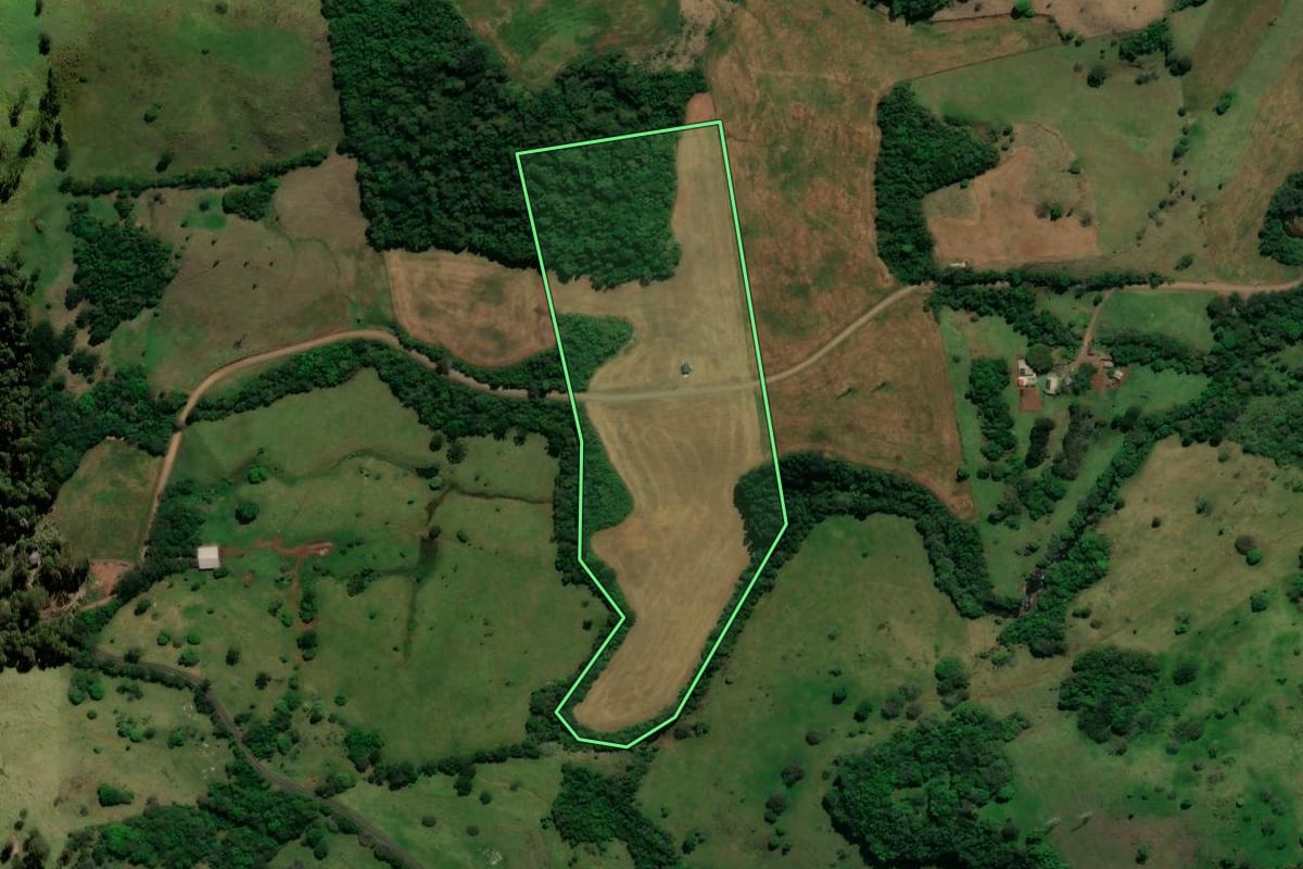 Imagem de satélite do imóvel rural em Saudade do Iguaçu (PR), com o contorno declarado no CAR desenhado por cima.