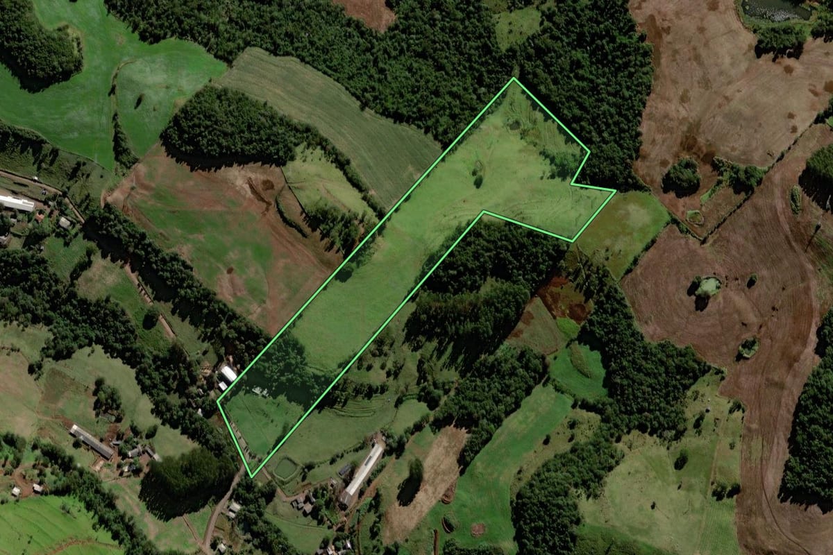 Imagem de satélite do imóvel rural em Saudade do Iguaçu (PR), com o contorno declarado no CAR desenhado por cima.