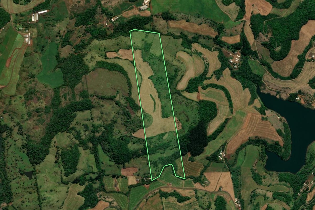 Imagem de satélite do imóvel rural em Saudade do Iguaçu (PR), com o contorno declarado no CAR desenhado por cima.