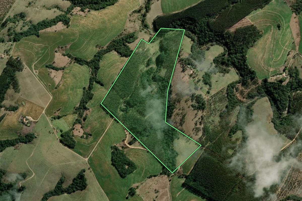 Imagem de satélite do imóvel rural em Sengés (PR), com o contorno declarado no CAR desenhado por cima.