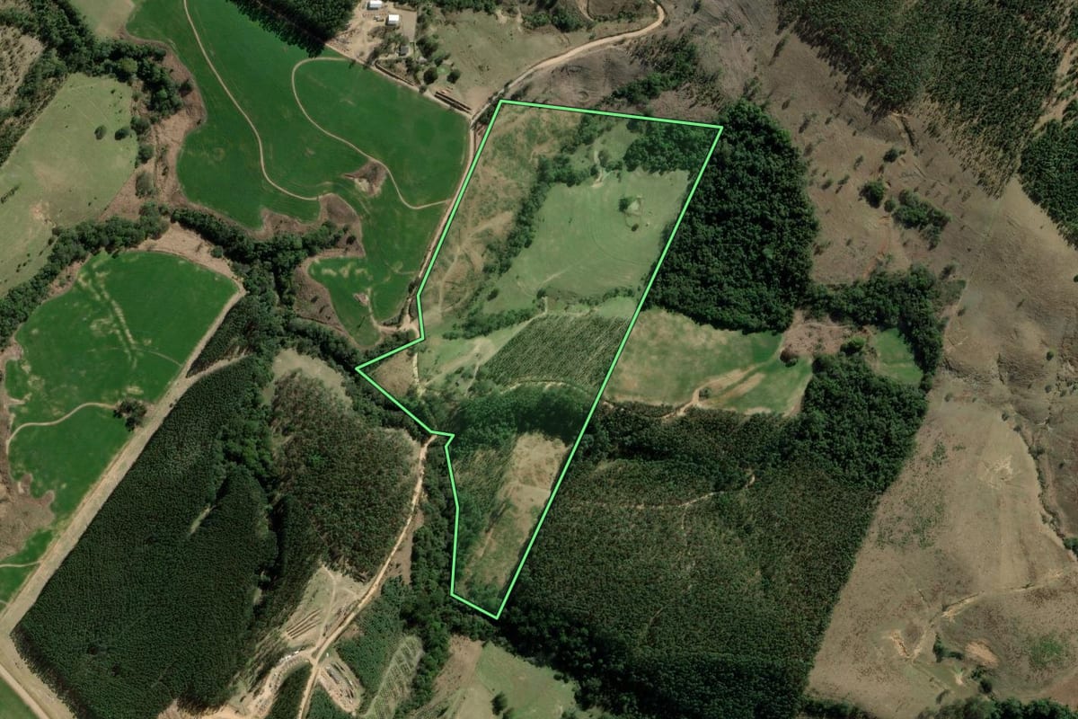 Imagem de satélite do imóvel rural em Sengés (PR), com o contorno declarado no CAR desenhado por cima.