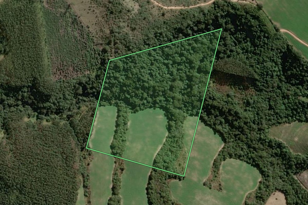 Imagem de satélite do imóvel rural em Sengés (PR), com o contorno declarado no CAR desenhado por cima.