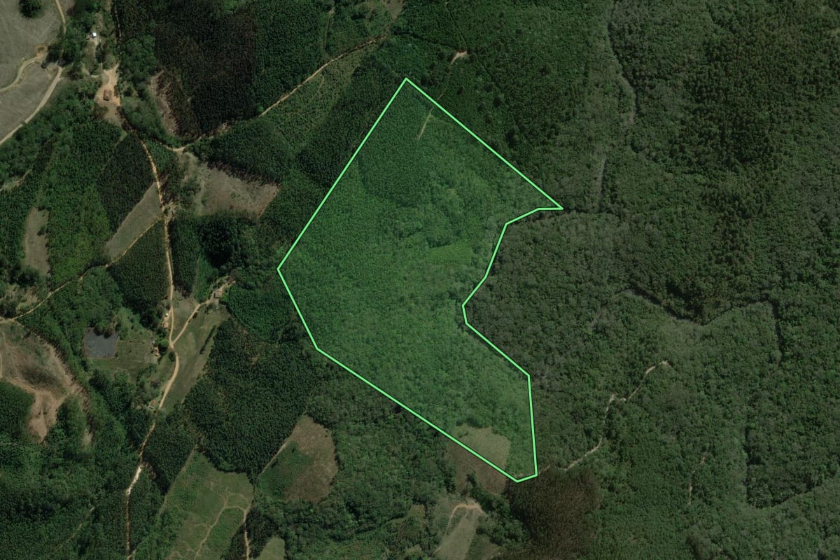 Imagem de satélite do imóvel rural em Sengés (PR), com o contorno declarado no CAR desenhado por cima.