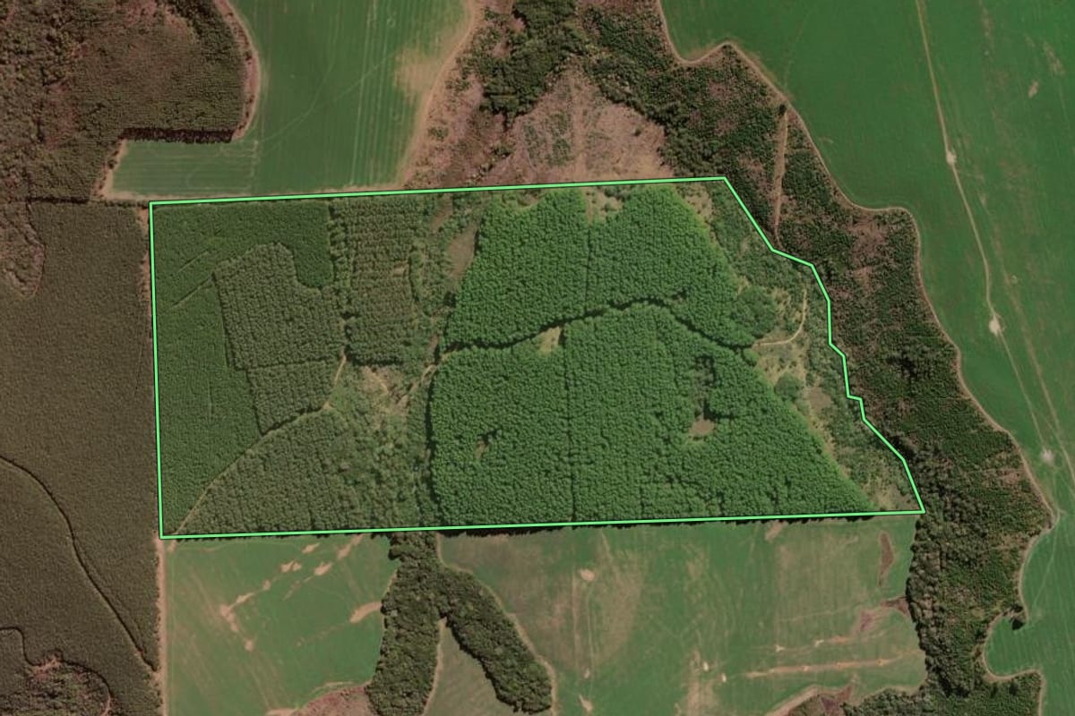 Imagem de satélite do imóvel rural em Sengés (PR), com o contorno declarado no CAR desenhado por cima.