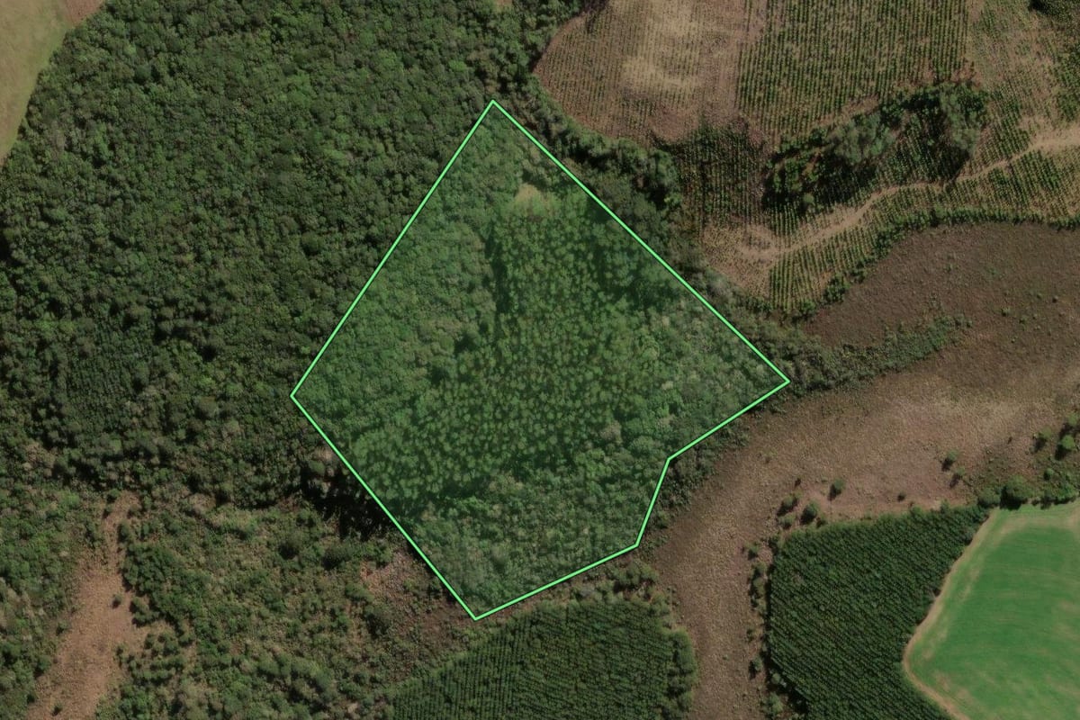 Imagem de satélite do imóvel rural em Sengés (PR), com o contorno declarado no CAR desenhado por cima.